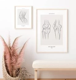 Knee Anatomy - Line Art -Codex Anatomicus Shop MN061 2