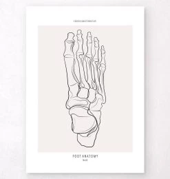 Foot Skeleton - Line Art