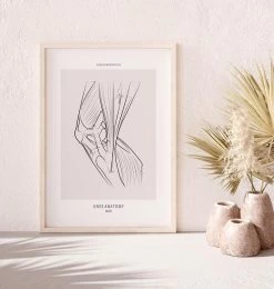 Codex Anatomicus Shop -Codex Anatomicus Shop MN065 1