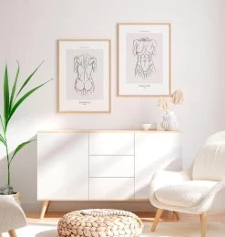 Back Muscles II - Line Art -Codex Anatomicus Shop MN067 2