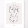 Back Muscles II - Line Art -Codex Anatomicus Shop MN067 16002b04 7314 4e3b a661 7721c2dc291d
