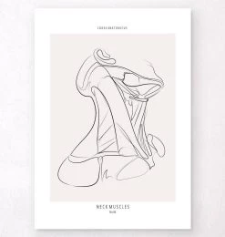 Neck Muscles - Line Art