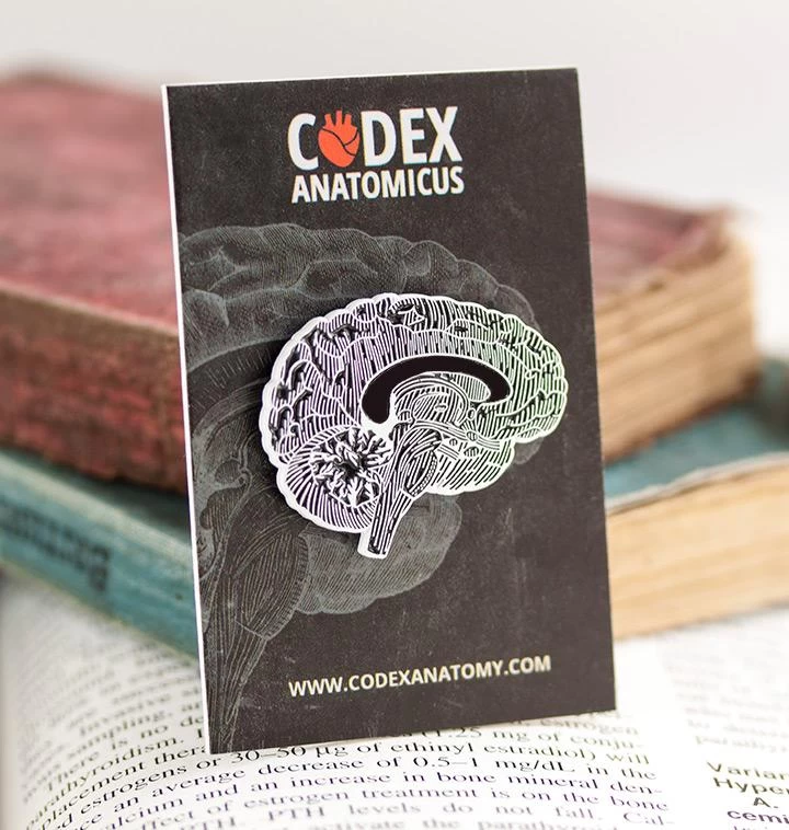 Brain Chalkboard - Enamel Pin 4 Brain Chalkboard - Enamel Pin - Image 2