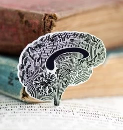 Brain Chalkboard - Enamel Pin