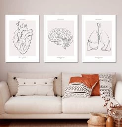 Bestsellers Set Of 3 - Line Art -Codex Anatomicus Shop SET 1 1 35a46094 c156 40db 8204 8c2e06bc7d78