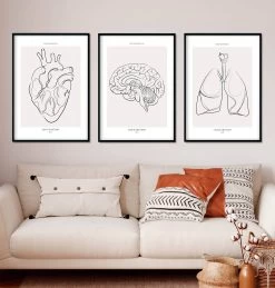 Bestsellers Set Of 3 - Line Art