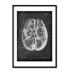 Bestsellers Set Of 3 - Chalkboard -Codex Anatomicus Shop SET3 item3v2