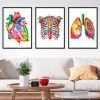 Bestsellers Set Of 3 - Watercolor 2 Bestsellers Set Of 3 - Watercolor -Codex Anatomicus Shop SET4 black d68cb11a aace 40a2 b63b e12e768b4398