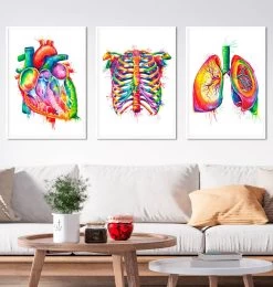 Bestsellers Set Of 3 - Watercolor 13 Bestsellers Set Of 3 - Watercolor -Codex Anatomicus Shop SET4 white 3e287dfb 06a7 46b7 8fe5 4ccd7bcf384a