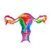 Uterus Anatomy Sticker - Watercolor Splash