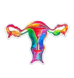 Uterus Anatomy Sticker - Watercolor Splash
