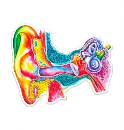 Ear Anatomy Sticker - Watercolor Splash