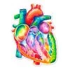 Heart Anatomy Sticker - Watercolor Splash