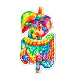 Digestive System Sticker - Watercolor Splash