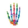 Hand Anatomy Sticker - Watercolor Splash 2 Hand Anatomy Sticker - Watercolor Splash -Codex Anatomicus Shop ST011