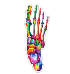 Foot Anatomy Sticker - Watercolor Splash
