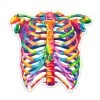 Rib Cage Anatomy Sticker - Watercolor Splash -Codex Anatomicus Shop ST015