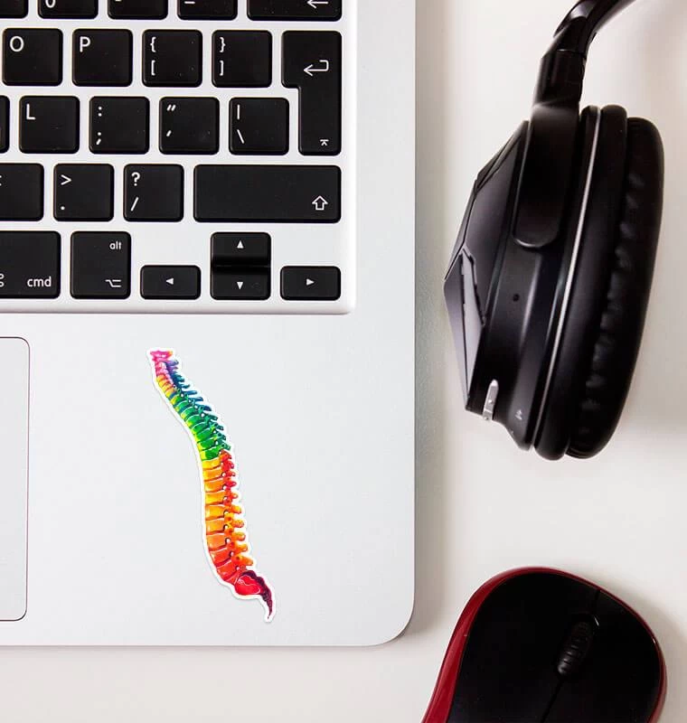 Spine Anatomy Sticker - Watercolor Splash 4 Spine Anatomy Sticker - Watercolor Splash - Image 2