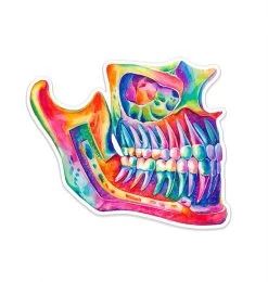 Jaw Anatomy Sticker - Watercolor Splash