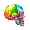Skull Anatomy Sticker I - Watercolor Splash 2 Skull Anatomy Sticker I - Watercolor Splash -Codex Anatomicus Shop ST018