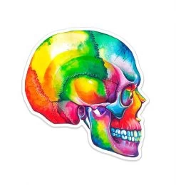 Skull Anatomy Sticker I - Watercolor Splash
