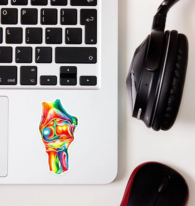 Elbow Anatomy Sticker - Watercolor Splash 4 Elbow Anatomy Sticker - Watercolor Splash - Image 2