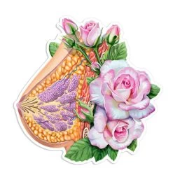 Breast Anatomy Sticker - Floral