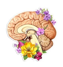 Brain Side Anatomy Sticker - Floral