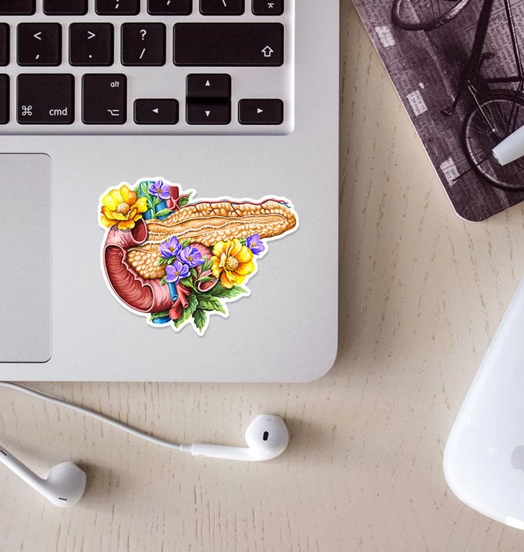 Pancreas Anatomy Sticker - Floral 4 Pancreas Anatomy Sticker - Floral - Image 2