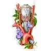 Larynx, Aorta, Thyroid Anatomy Sticker - Floral