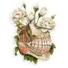Jaw Anatomy Sticker - Floral -Codex Anatomicus Shop ST027