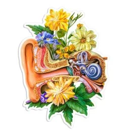 Ear Anatomy Sticker - Floral