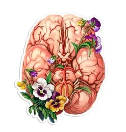 Brain Anatomy Sticker - Floral