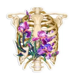Rib Cage Anatomy Sticker - Floral