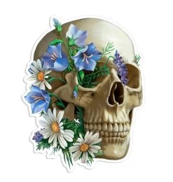 Skull Anatomy Sticker - Floral