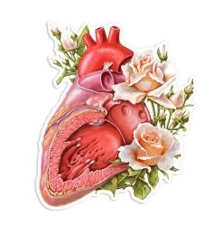 Heart Anatomy Sticker - Floral