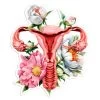 Uterus Anatomy Sticker - Floral -Codex Anatomicus Shop ST035