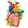 Heart Anatomy Sticker II - Floral -Codex Anatomicus Shop ST037