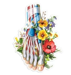 Foot Anatomy Sticker - Floral
