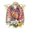 Rib Cage & Heart Anatomy Sticker - Floral -Codex Anatomicus Shop ST042