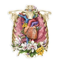 Rib Cage & Heart Anatomy Sticker - Floral