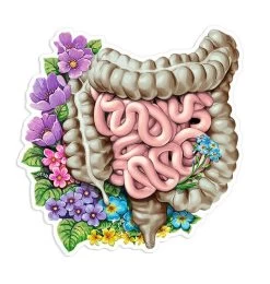 Intestines Anatomy Sticker - Floral