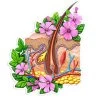 Skin Anatomy Sticker - Floral -Codex Anatomicus Shop ST048