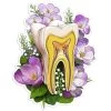 Tooth Anatomy Sticker II - Floral 1 Tooth Anatomy Sticker II - Floral -Codex Anatomicus Shop ST049