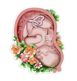 Fetus Sticker III - Floral