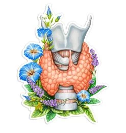 Thyroid Anatomy Sticker - Floral