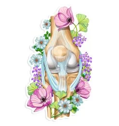 Knee Anatomy Sticker - Floral