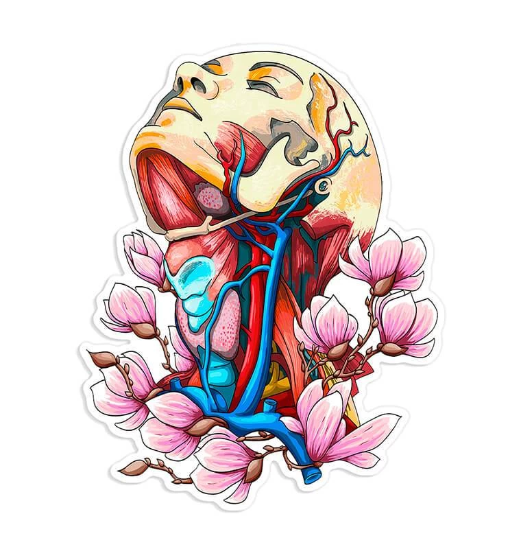 Neck Veins & Arteries Sticker - Floral 3 Neck Veins & Arteries Sticker - Floral