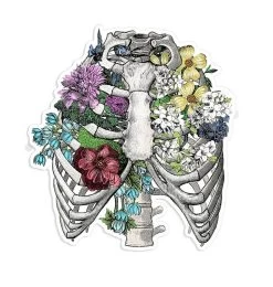 Rib Cage Anatomy Sticker III - Floral