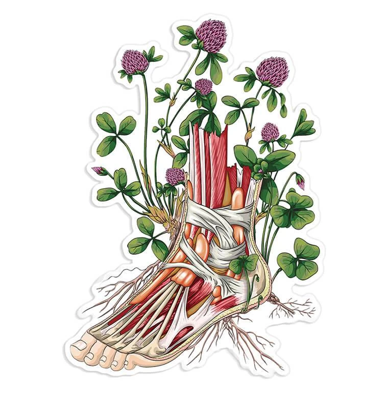 Foot Anatomy Sticker II - Floral 3 Foot Anatomy Sticker II - Floral